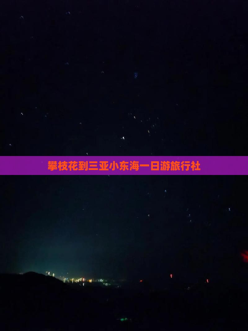 攀枝花到三亚小东海一日游旅行社