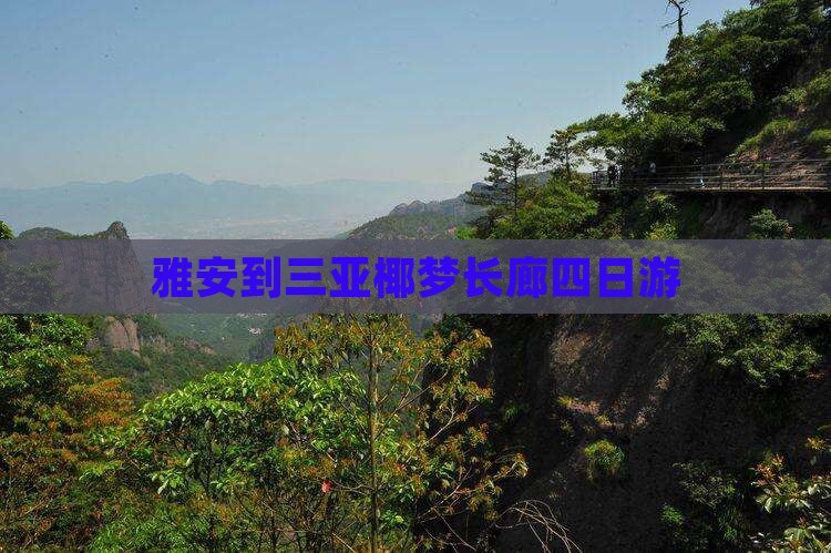 雅安到三亚椰梦长廊四日游