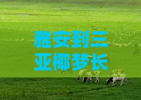 雅安到三亚椰梦长廊四日游