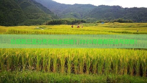 白银到三亚分界洲岛必玩地？2025年最新玩法与攻略！