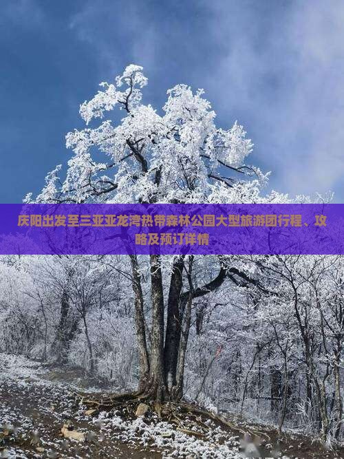 庆阳出发至三亚亚龙湾热带森林公园大型旅游团行程、攻略及预订详情