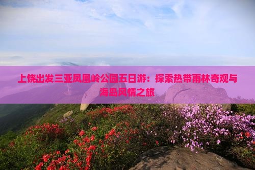 上饶出发三亚凤凰岭公园五日游：探索热带雨林奇观与海岛风情之旅
