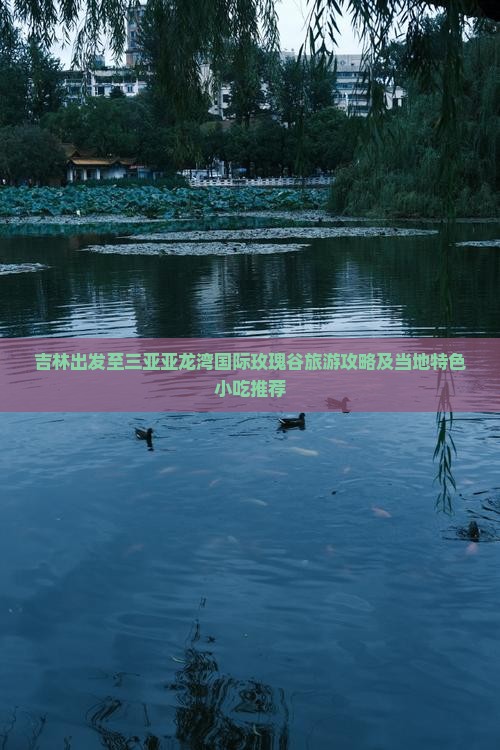 吉林出发至三亚亚龙湾国际玫瑰谷旅游攻略及当地特色小吃推荐