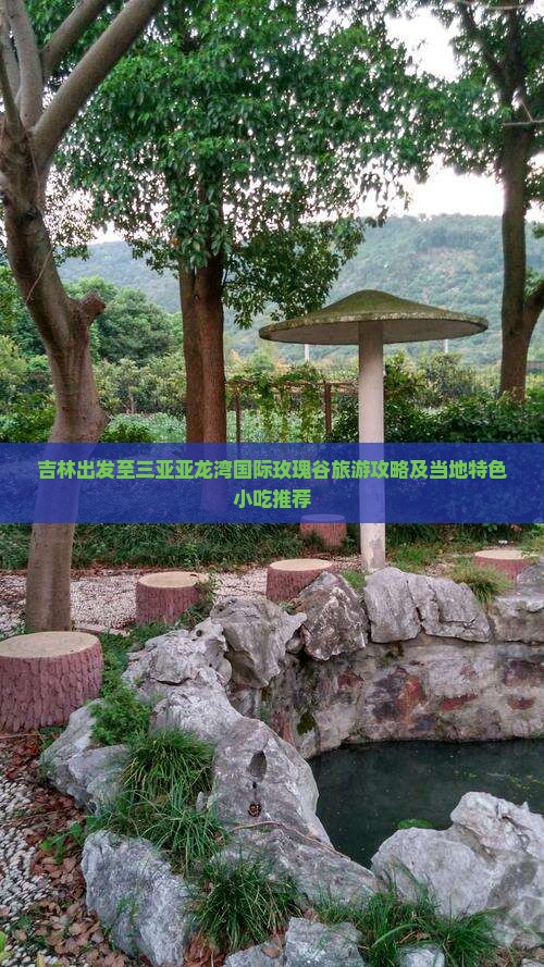 吉林出发至三亚亚龙湾国际玫瑰谷旅游攻略及当地特色小吃推荐