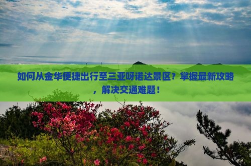 如何从金华便捷出行至三亚呀诺达景区？掌握最新攻略，解决交通难题！