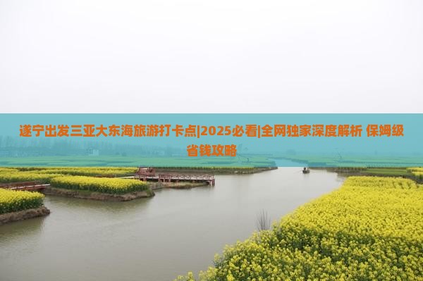 遂宁出发三亚大东海旅游打卡点