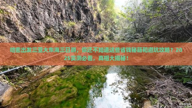 哈密出发三亚大东海三日游