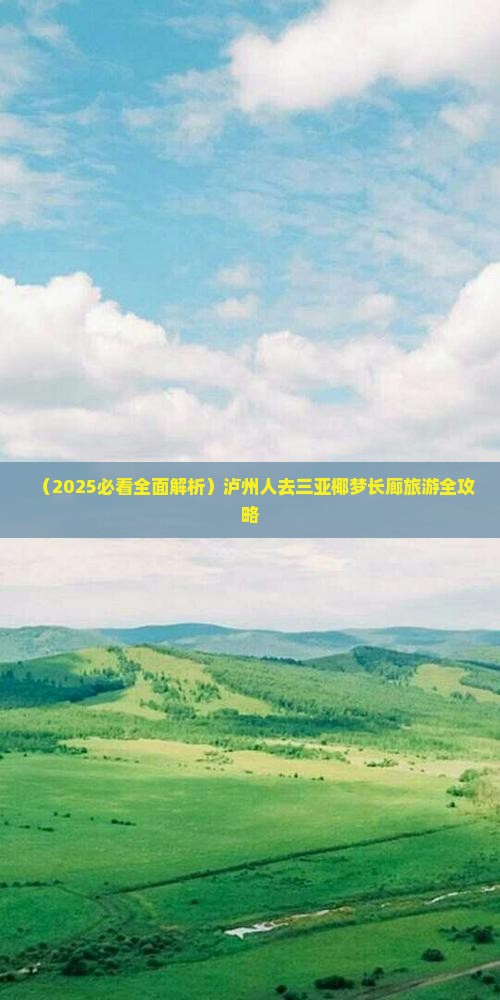 泸州去三亚椰梦长廊旅游网红地点