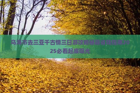 乌海市去三亚千古情三日游