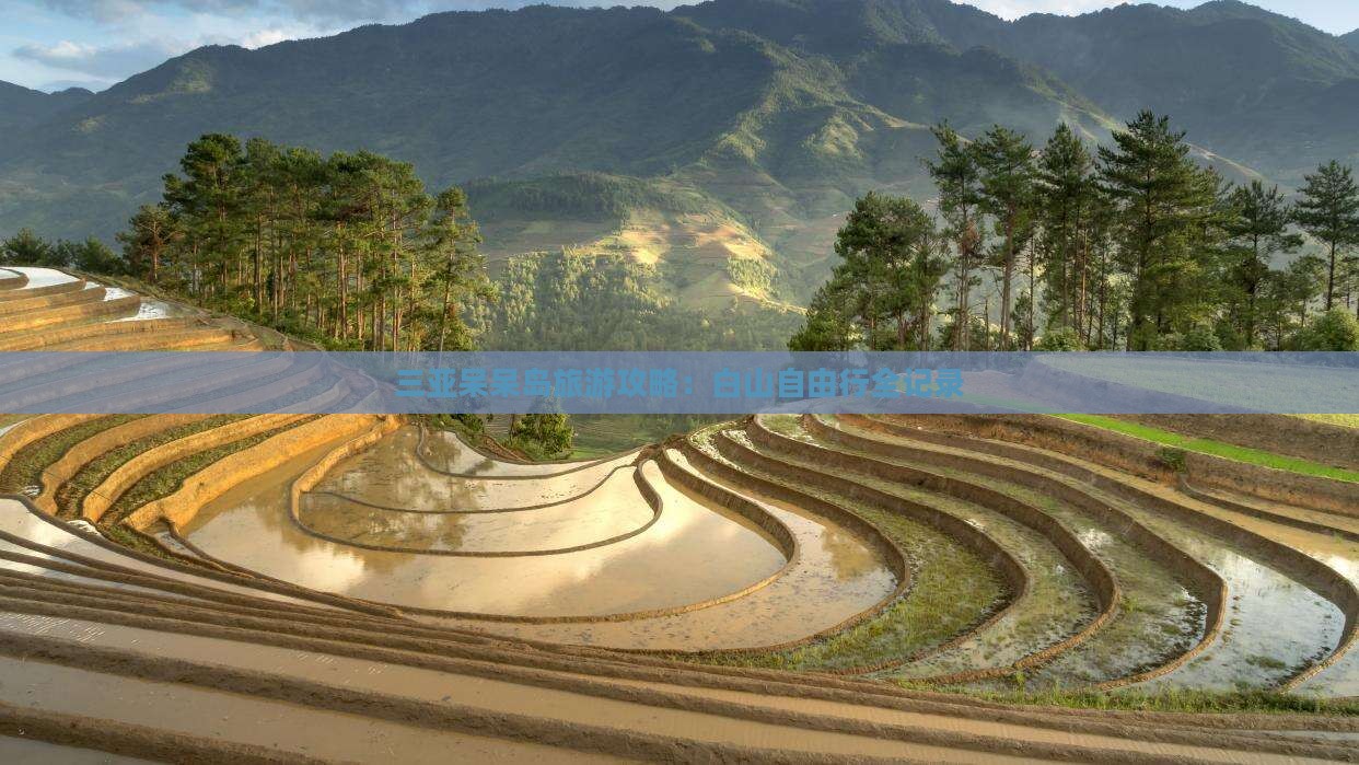 白山前往三亚呆呆岛自由行