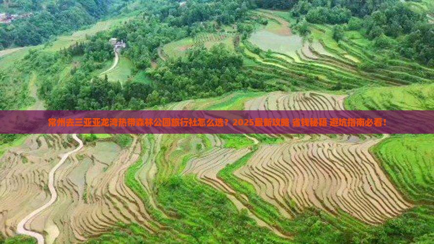 常州前往三亚亚龙湾热带森林公园旅行社