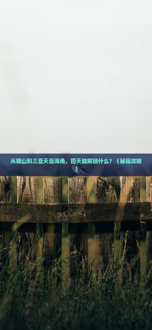 鞍山前往三亚天涯海角四日游