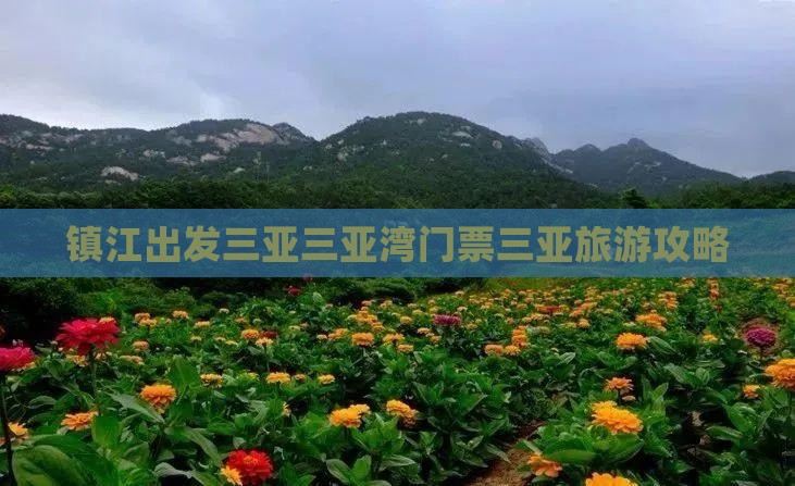 镇江出发三亚三亚湾门票