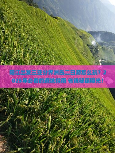 阳江出发三亚分界洲岛二日游