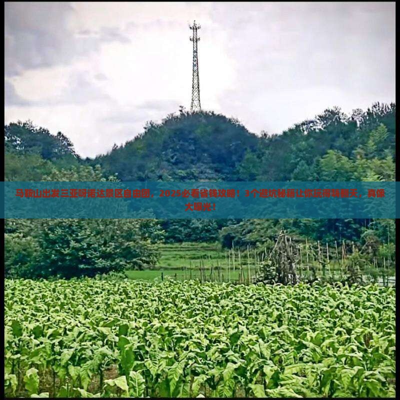 马鞍山出发三亚呀诺达景区自由团