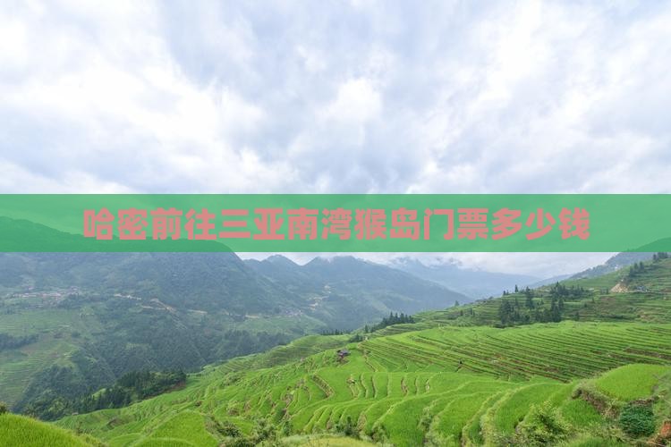 哈密前往三亚南湾猴岛门票