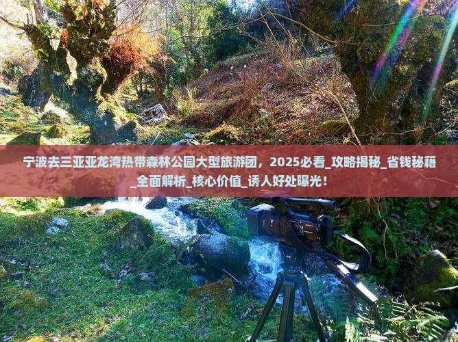 宁波去三亚亚龙湾热带森林公园大型旅游团