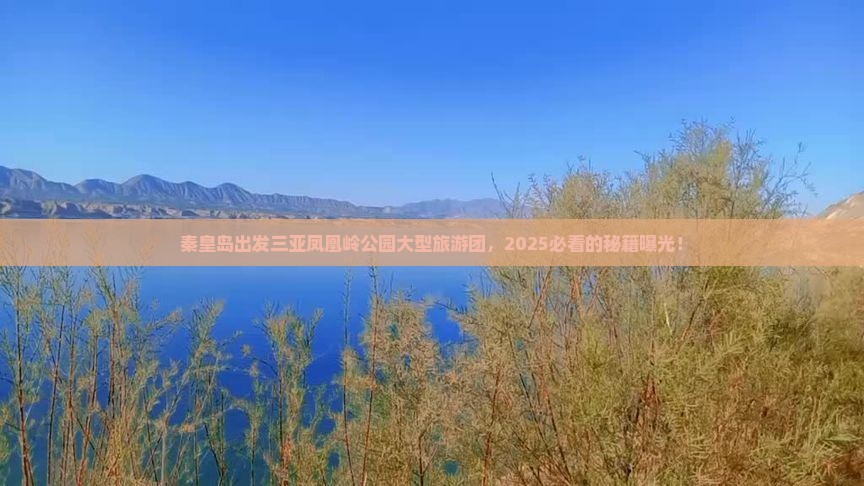 秦皇岛出发三亚凤凰岭公园大型旅游团