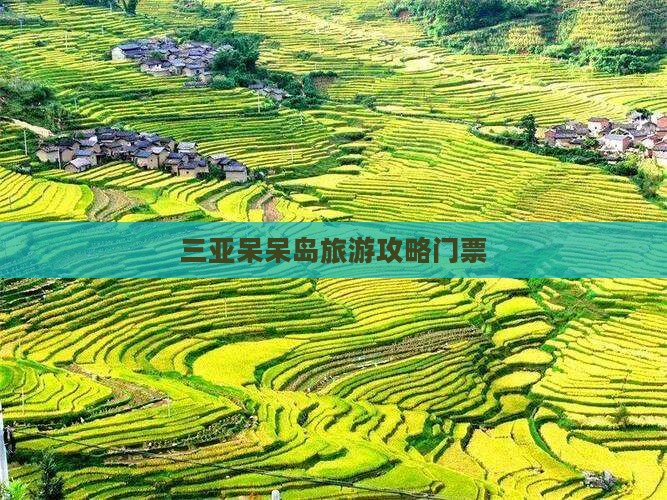 永新出发三亚呆呆岛门票