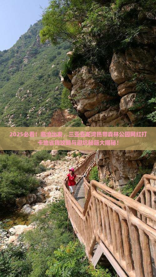 临沧前往三亚亚龙湾热带森林公园旅游网红地点 临沧前往三亚亚龙湾热带森林公园旅游网红地点