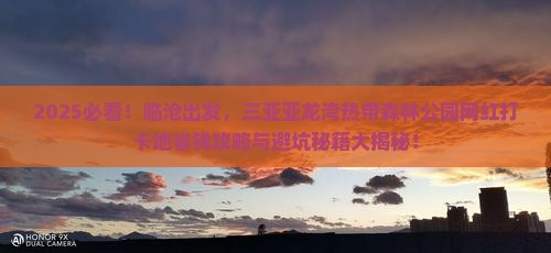 临沧前往三亚亚龙湾热带森林公园旅游网红地点 临沧前往三亚亚龙湾热带森林公园旅游网红地点