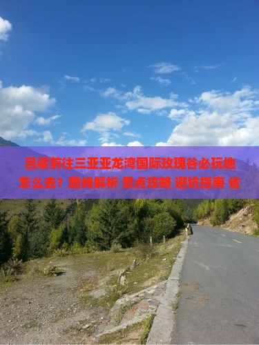 吕梁前往三亚亚龙湾国际玫瑰谷必玩地