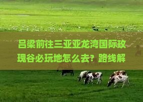 吕梁前往三亚亚龙湾国际玫瑰谷必玩地