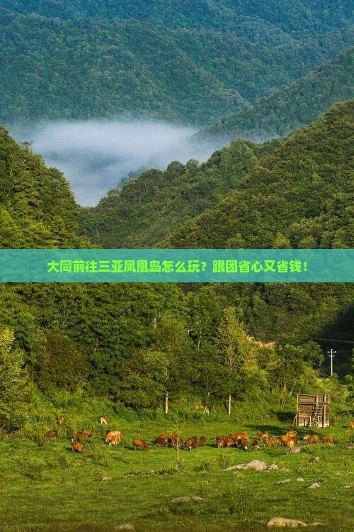 大同前往三亚凤凰岛旅行社