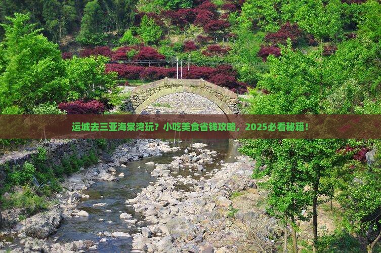 运城前往三亚海棠湾旅游小吃
