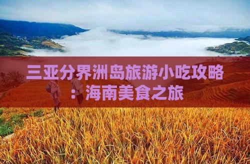 常德出发三亚分界洲岛旅游小吃
