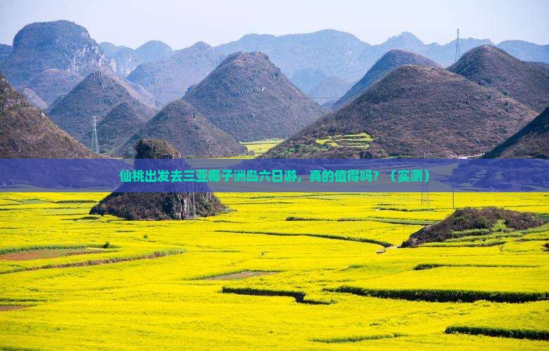 仙桃去三亚椰子洲岛六日游