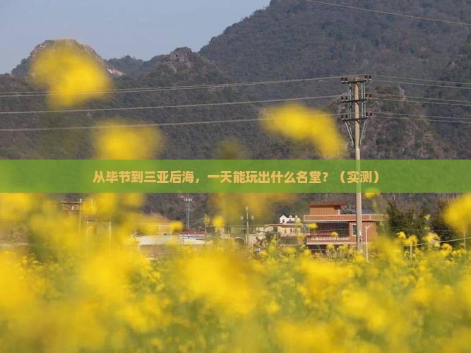 毕节前往三亚后海一日游