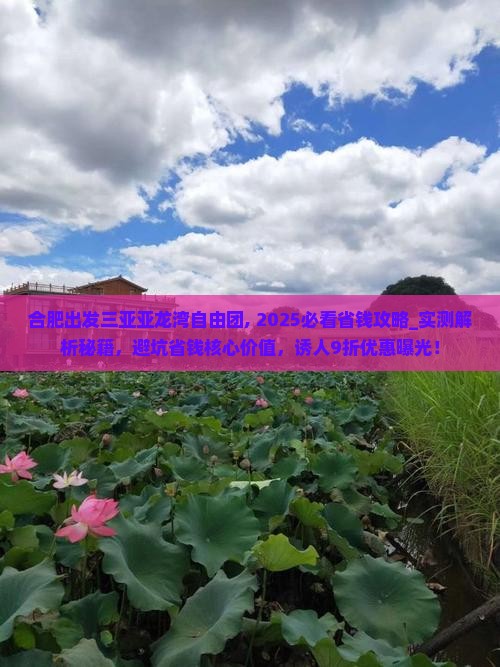合肥出发三亚亚龙湾自由团