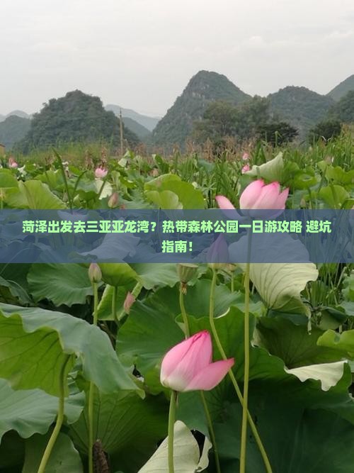 菏泽出发三亚亚龙湾热带森林公园一日游