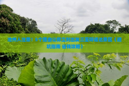 沧州出发三亚呀诺达景区团体旅游
