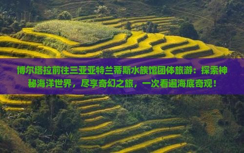 博尔塔拉前往三亚亚特兰蒂斯水族馆团体旅游
