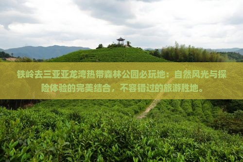 铁岭去三亚亚龙湾热带森林公园必玩地