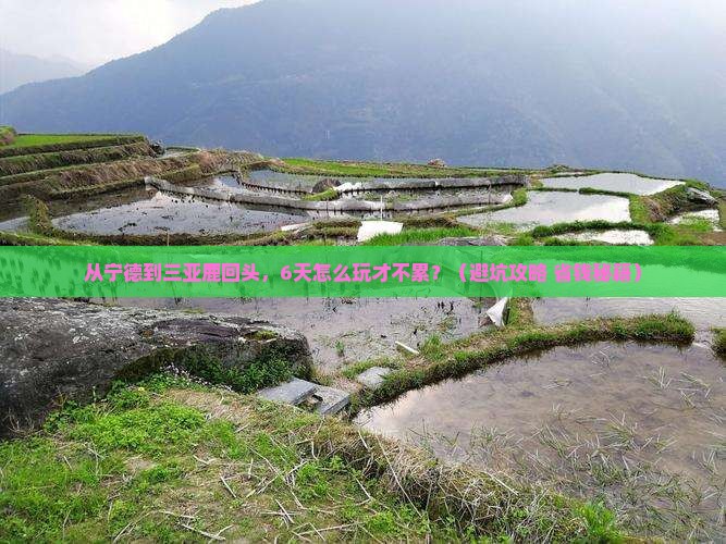 宁德去三亚鹿回头六日游