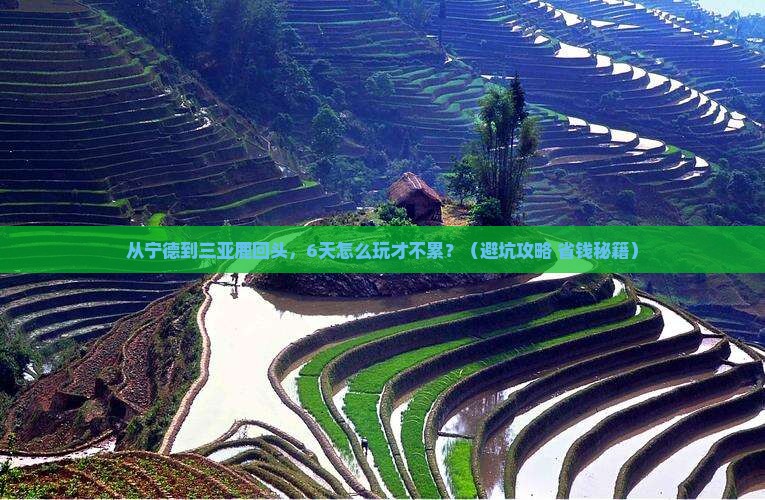 宁德去三亚鹿回头六日游
