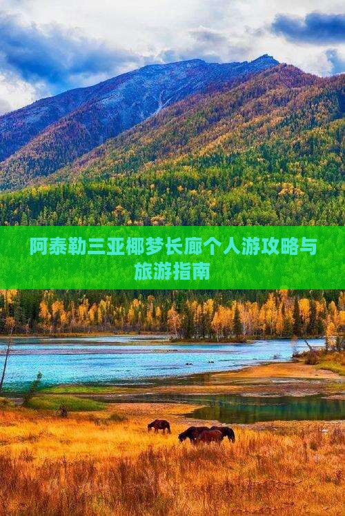 阿泰勒去三亚椰梦长廊个人游