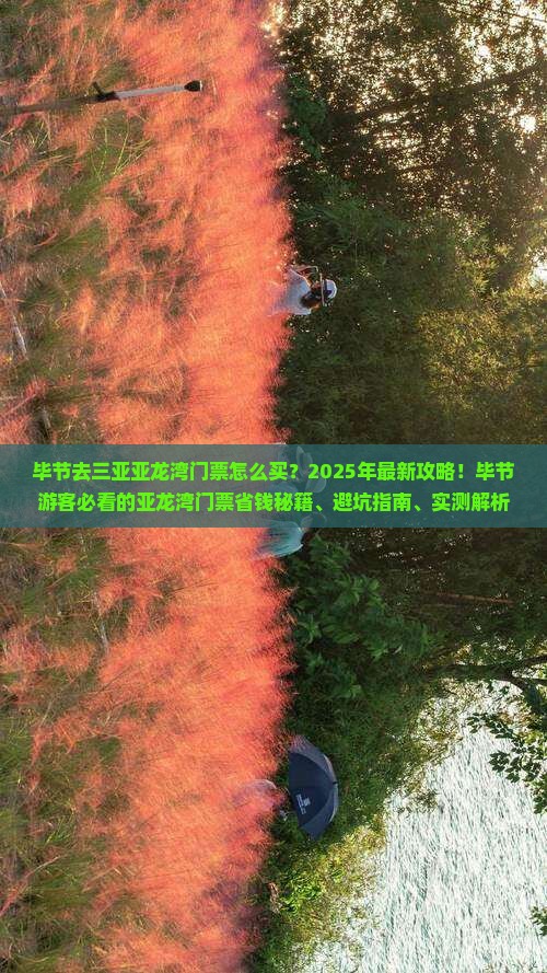 毕节去三亚亚龙湾门票