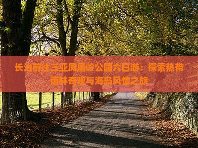 长治前往三亚凤凰岭公园六日游：探索热带雨林奇观与海岛风情之旅