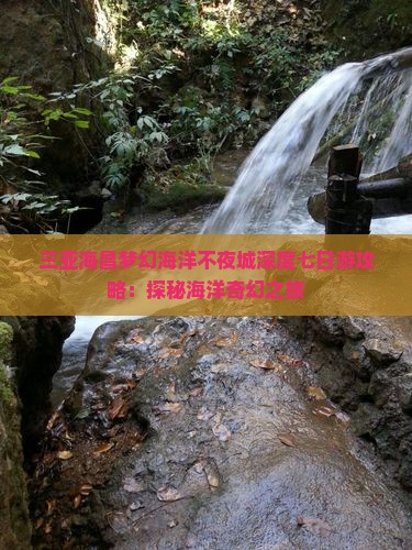三亚海昌梦幻海洋不夜城深度七日游攻略：探秘海洋奇幻之旅