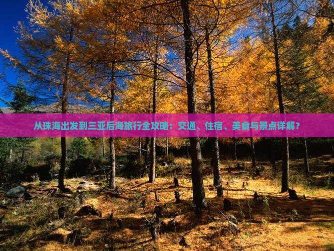 从珠海出发到三亚后海旅行全攻略：交通、住宿、美食与景点详解？