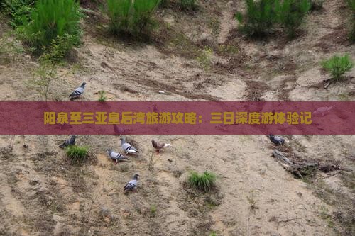 阳泉至三亚皇后湾旅游攻略：三日深度游体验记