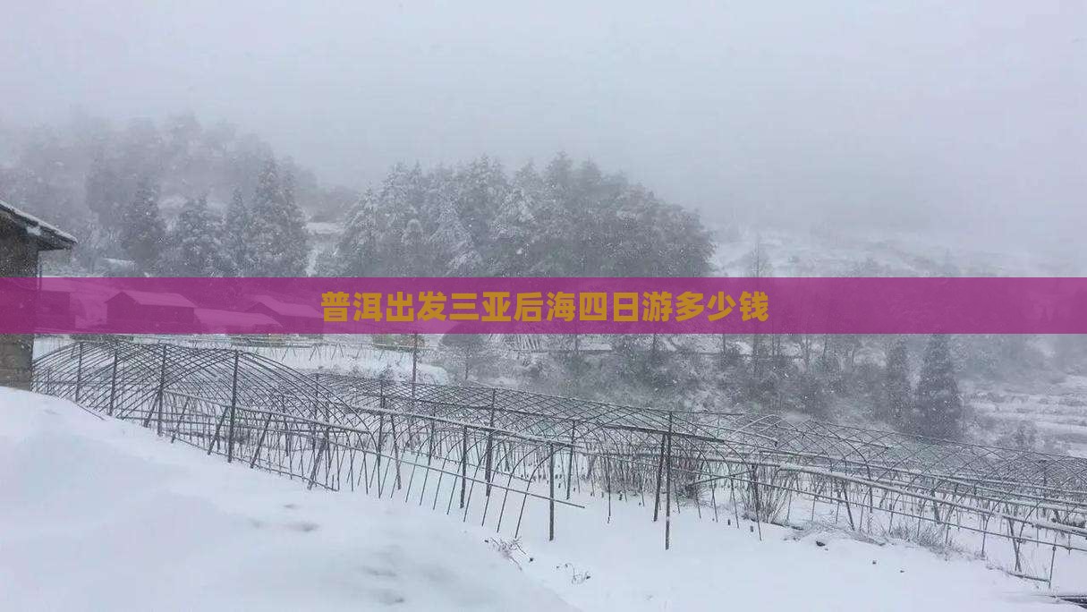 普洱出发三亚后海四日游多少钱