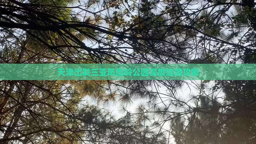 天津出发三亚凤凰岭公园深度旅游攻略