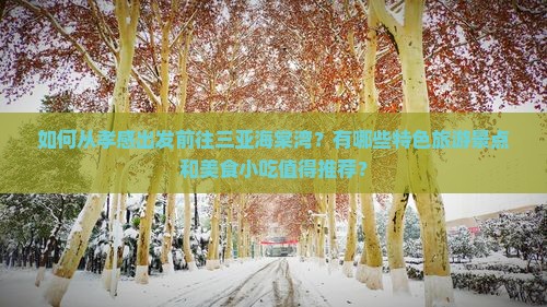 如何从孝感出发前往三亚海棠湾？有哪些特色旅游景点和美食小吃值得推荐？