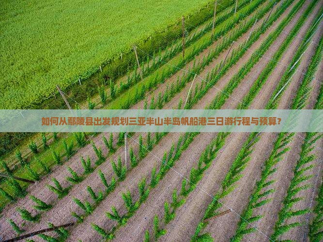 如何从鄢陵县出发规划三亚半山半岛帆船港三日游行程与预算？