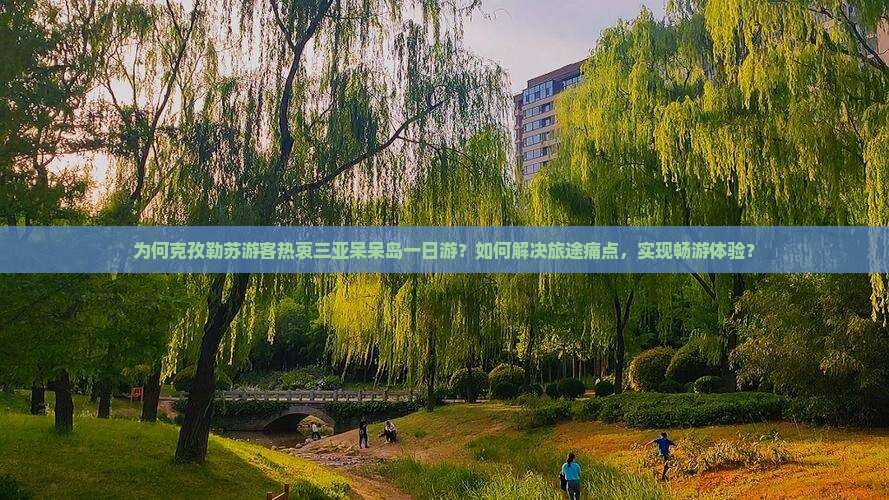 为何克孜勒苏游客热衷三亚呆呆岛一日游？如何解决旅途痛点，实现畅游体验？